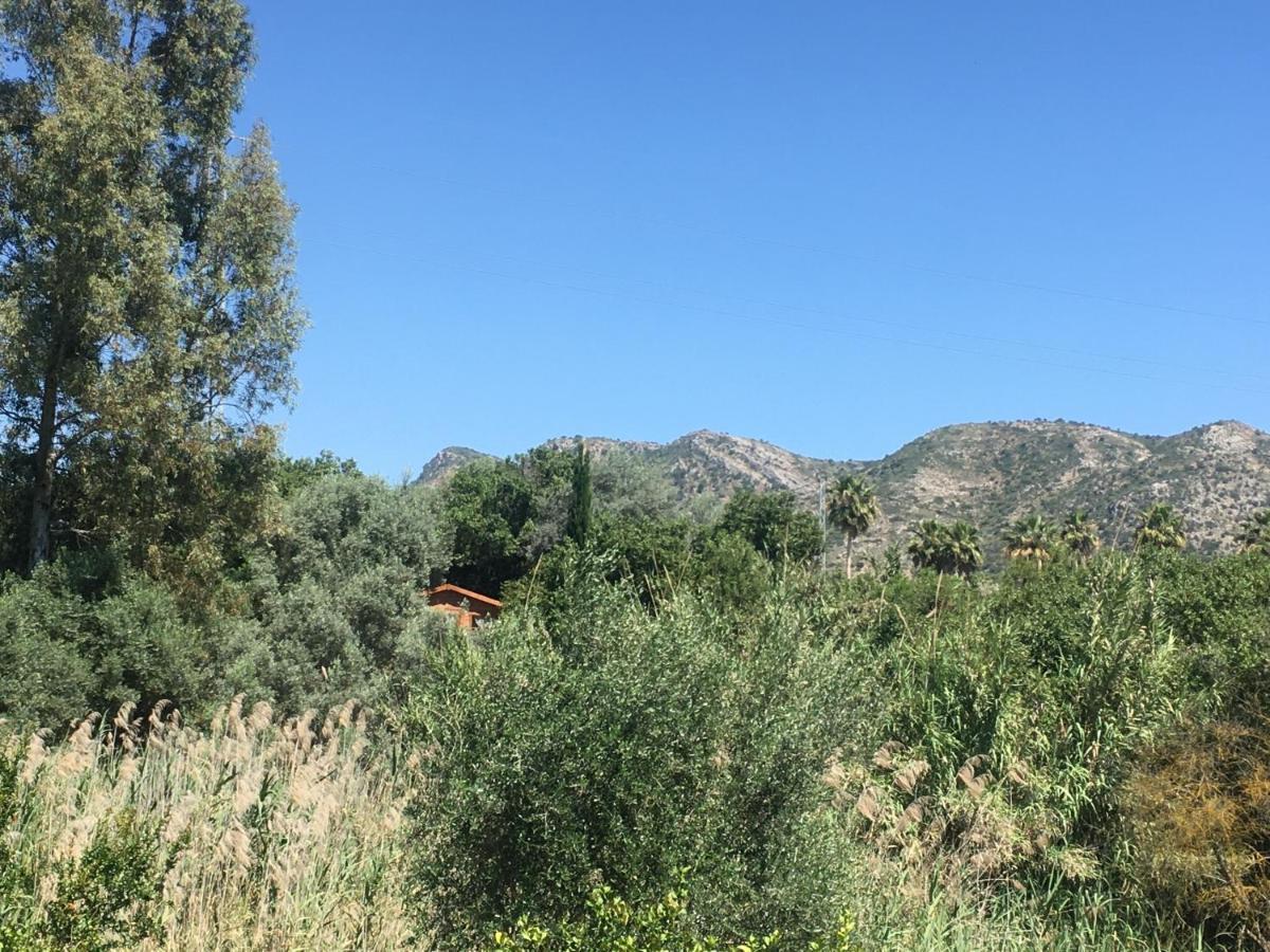 Cártama Finca Fahala מראה חיצוני תמונה